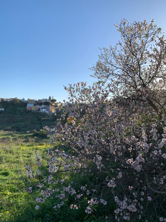 El Sosiego, Der Rueckzugsort Santa Brigida  Luaran gambar